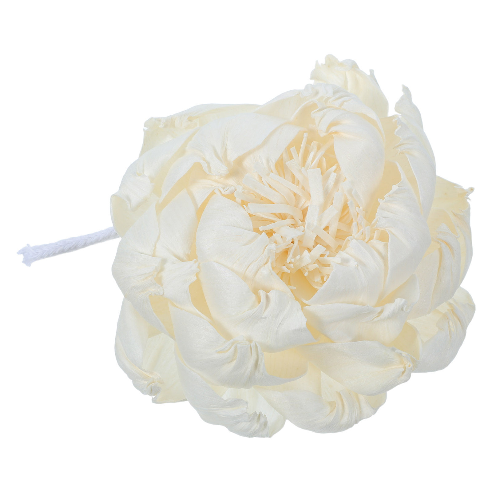 Peony Head Fragrance Diffuser  - Home Fragrance Diffuser Oil ulasan dan harga