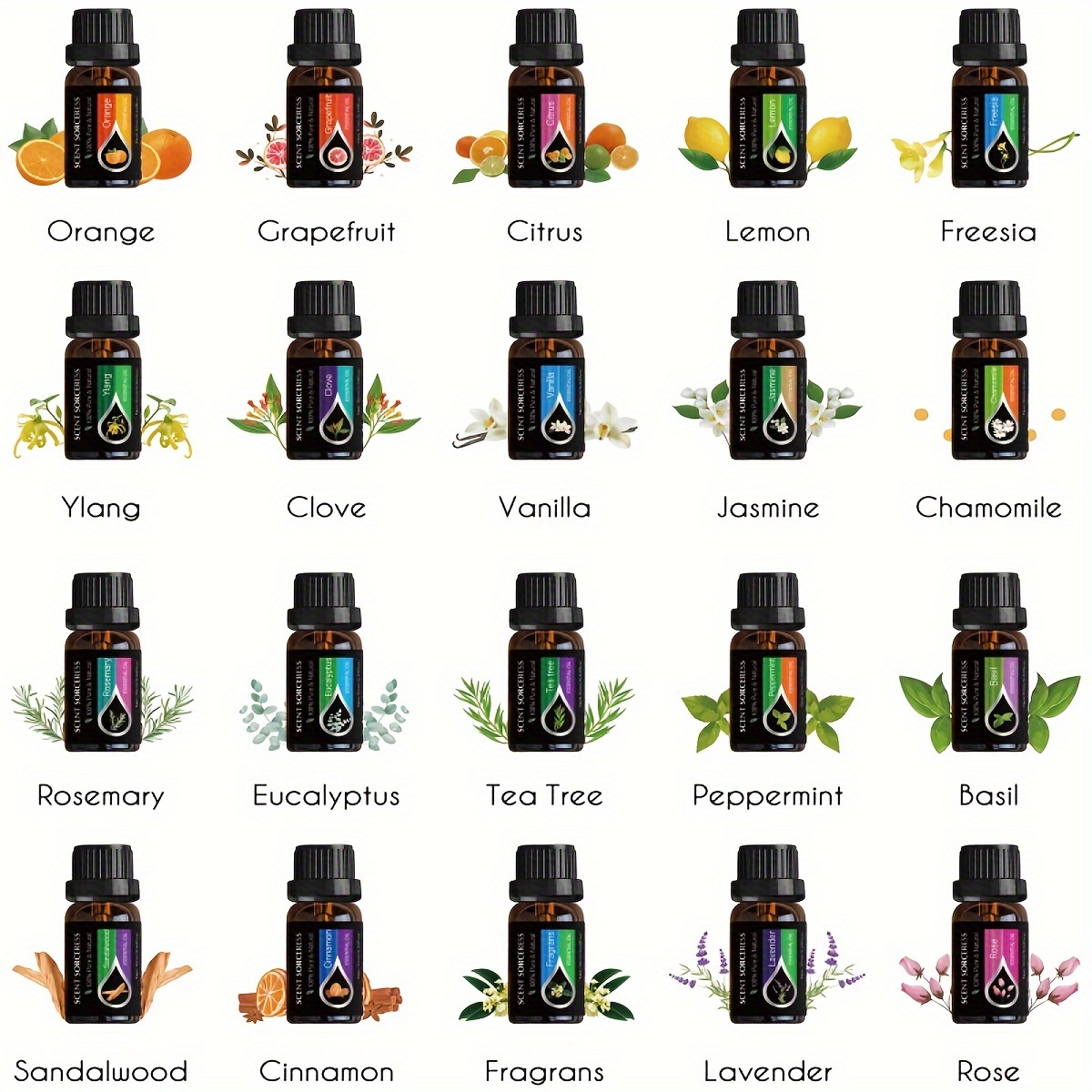 20pcs/set Essential Oil Set La - Essential Oil Blend ulasan dan harga