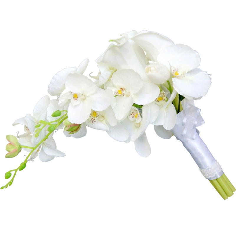 French romantic wedding white  - Home Fragrance In French ulasan dan harga