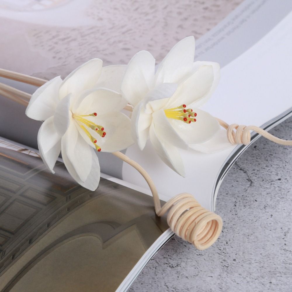 Multipurpose 5cm Natural Handm - Home Fragrance Natural ulasan dan harga